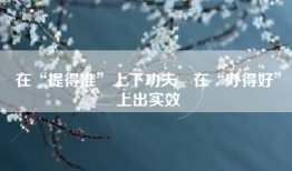 在“提得准”上下功夫　在“办得好”上出实效