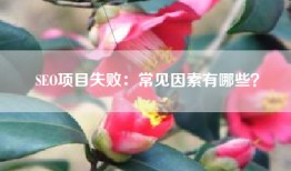 SEO项目失败：常见因素有哪些？