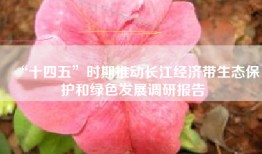 “十四五”时期推动长江经济带生态保护和绿色发展调研报告