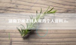 湖南卫视主持人朱丹个人资料.doc