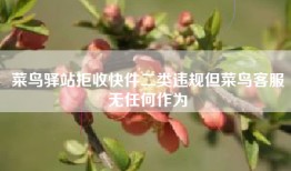 菜鸟驿站拒收快件二类违规但菜鸟客服无任何作为