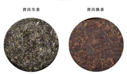 普洱茶强骨骼-普洱茶强骨骼的功效