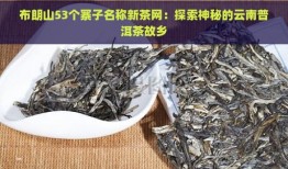 布朗山53个寨子名称新茶网：探索神秘的云南普洱茶故乡