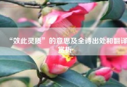 “效此灵质”的意思及全诗出处和翻译赏析