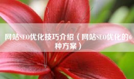 网站SEO优化技巧介绍（网站SEO优化的6种方案）