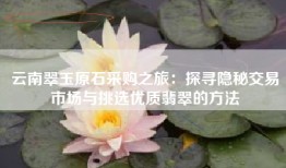 云南翠玉原石采购之旅：探寻隐秘交易市场与挑选优质翡翠的方法