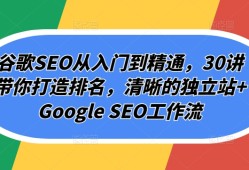 谷歌SEO从入门到精通，30讲带你打造排名，清晰的独立站+Google SEO工作流