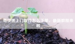 寄快递上门取件怎么下单，最新教程来啦