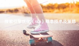 搜索引擎优化（SEO）基本技术及策略