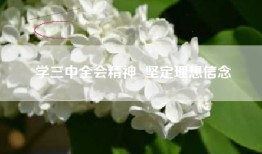 学三中全会精神  坚定理想信念