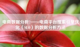 电商数据分析7——电商平台搜索引擎优化（SEO）的数据分析方法