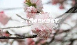 Spark 高级面试题合集