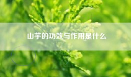 山芋的功效与作用是什么