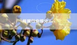 所属行业细分.docx