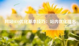 网站SEO优化基本技巧：站内优化排名