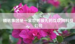 腾讯集团是一家世界领先的互联网科技公司