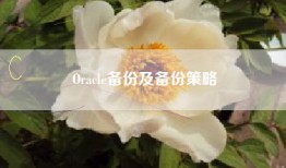 Oracle备份及备份策略