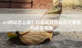 SEO网站怎么做？打造高效网站优化策略的必备指南