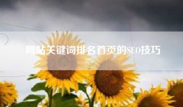 网站关键词排名首页的SEO技巧