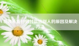 花呗不能扫码付款给别人的原因及解决方法