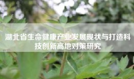 湖北省生命健康产业发展现状与打造科技创新高地对策研究