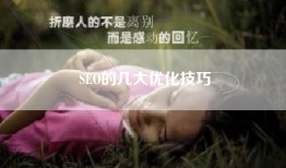 SEO的几大优化技巧