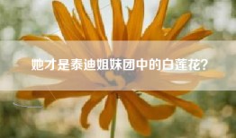 她才是泰迪姐妹团中的白莲花？