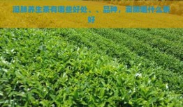 润肺养生茶有哪些好处、、品种，润肺喝什么茶好