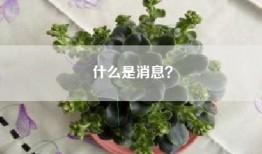 什么是消息？