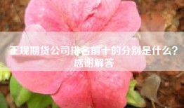 正规期货公司排名前十的分别是什么？感谢解答