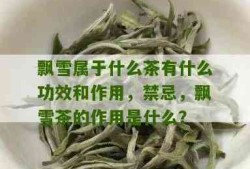 飘雪又叫什么茶叶名字？详解飘雪的由来与分类