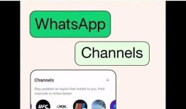 全球新闻机构的WhatsApp实践