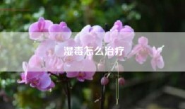 湿毒怎么治疗