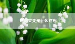 病毒突变是什么意思