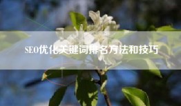 SEO优化关键词排名方法和技巧