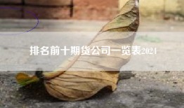 排名前十期货公司一览表2024