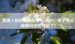 普通人如何高效应用 ChatGPT，终于有人讲明白这些方法了！