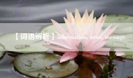 【词语辨析】information, news, message