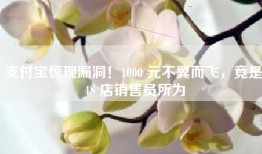 支付宝惊现漏洞！1000 元不翼而飞，竟是 4S 店销售员所为