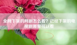 全网下架的网剧怎么看？已经下架的电视剧哪里可以看