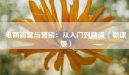 电商运营与营销：从入门到精通（微课版）