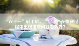 “双十一”剁手后，“宝贝”在快递过程中出现这些问题怎么办？