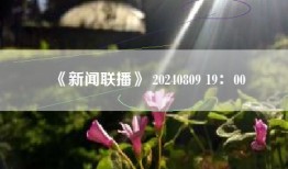 《新闻联播》 20240809 19：00