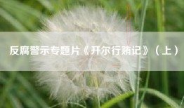 反腐警示专题片《开尔行贿记》（上）