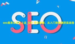 seo是怎么优化上去_SEO 优化秘籍，从入门到精通的实战指南