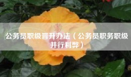 公务员职级晋升办法（公务员职务职级并行利弊）