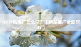 SEO网站推广怎么做？【网站推广全面教程】