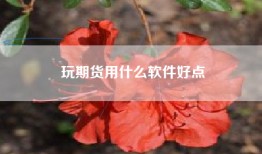 玩期货用什么软件好点