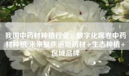 我国中药材种植行业：数字化席卷中药材种植 未来聚焦道地药材+生态种植+区域品牌