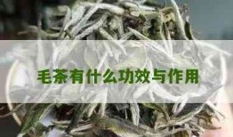 毛茶是什么茶，揭秘茶叶知识：什么是毛茶？